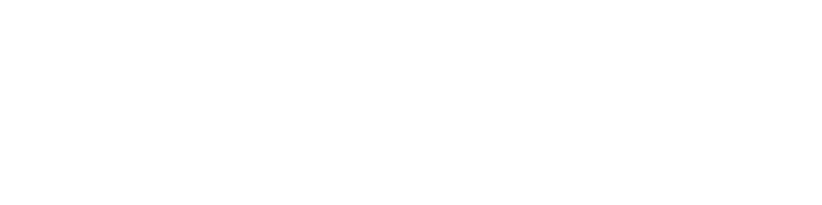 E-pay wit