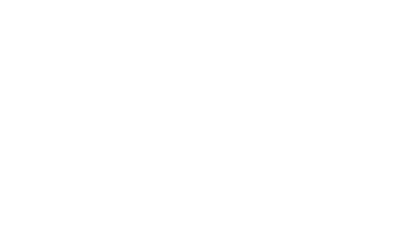 Optimise Incentive Cloud_icoon with text 'loyalty module'